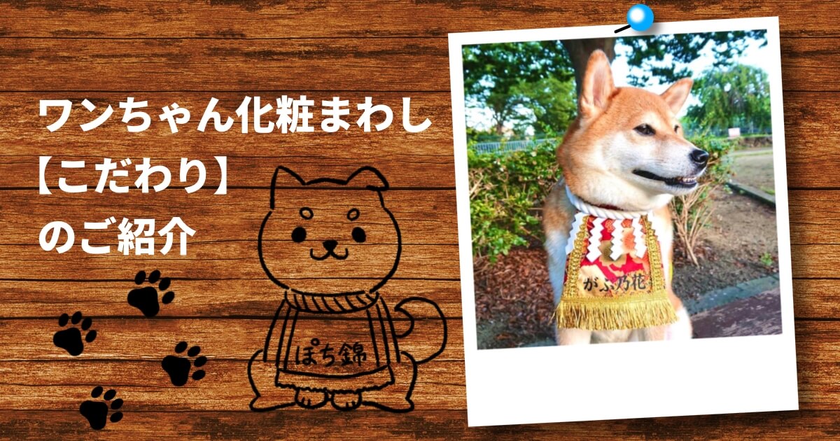 ワンちゃん化粧まわし こだわり のご紹介 犬用コスプレ衣装 Chick Chick Picnic