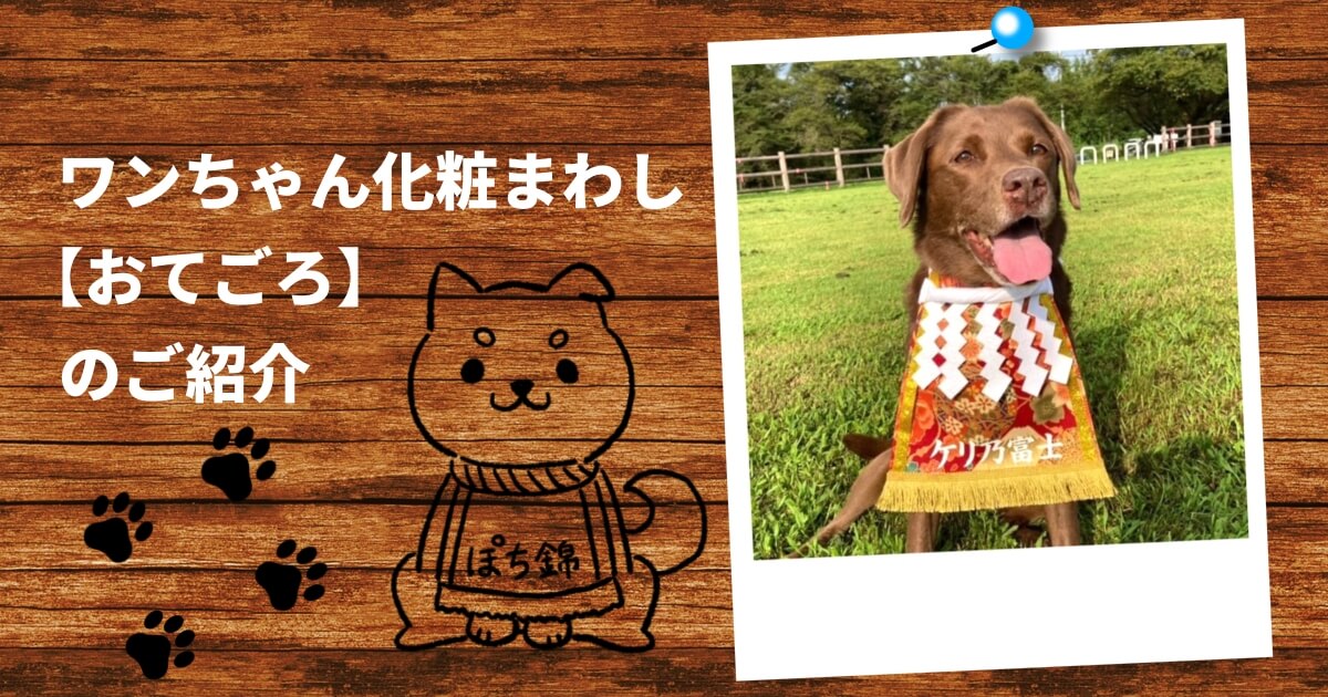 ワンちゃん化粧まわし おてごろ のご紹介 犬用コスプレ衣装 Chick Chick Picnic