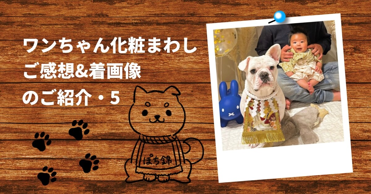 ♡侍ポメちゃんオーダーページ♡ミニサイズ （ミニサイズ新登場 犬用 