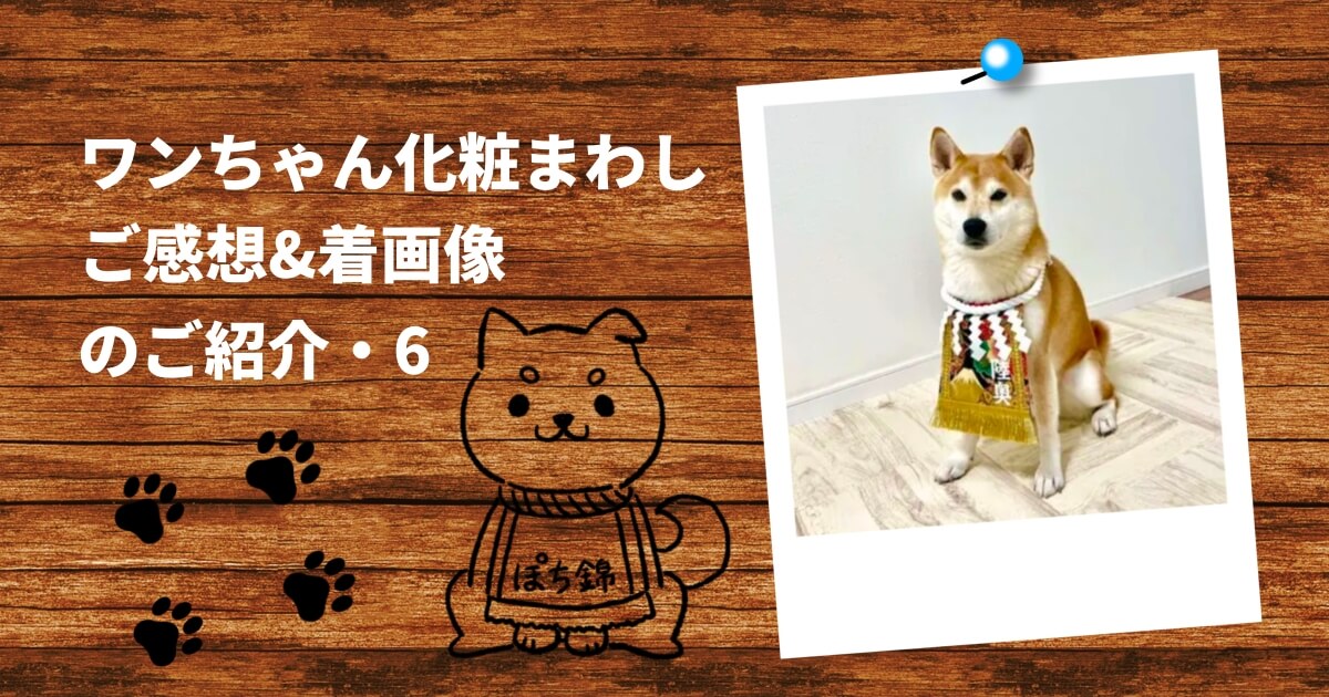 羊毛フェルト 寅年お正月トイプードルちゃん② （羊毛フェルト作り方 