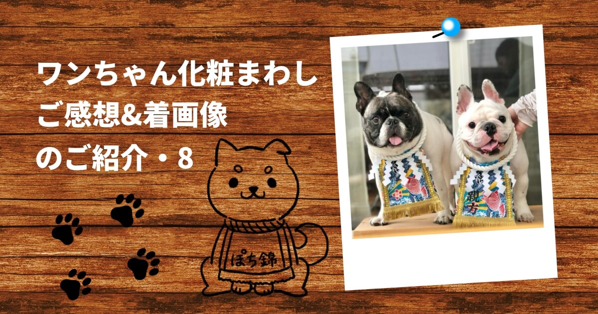 マロ姫様 ご確認ページ 降り注ぐ ダックス 