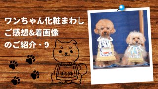 20250312ワンちゃん化粧まわしご感想&着画像アイキャッチ9