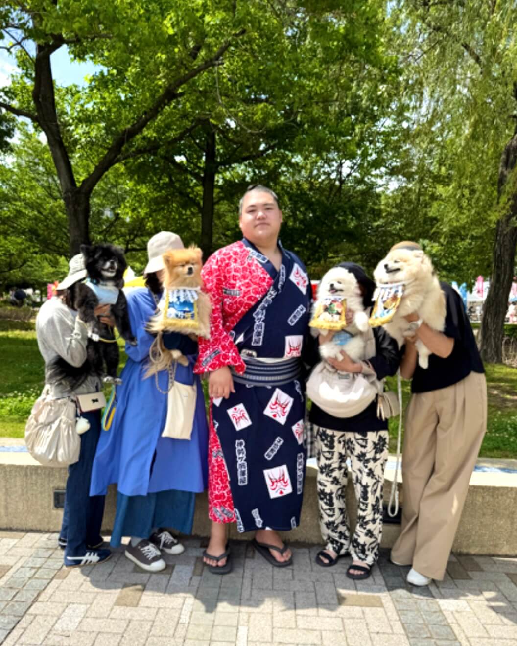 20250830ワンちゃん化粧まわし着画像2