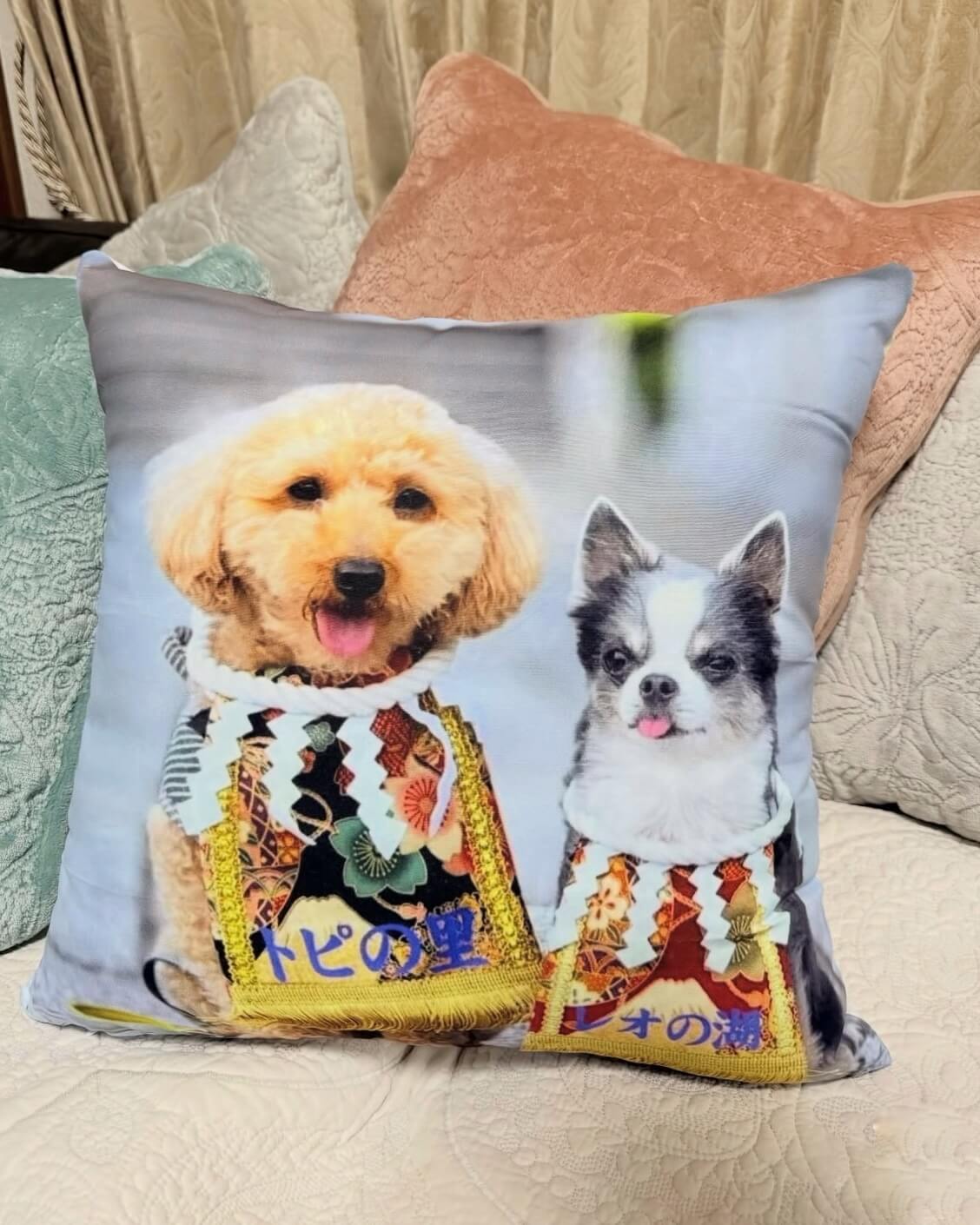 20251217ワンちゃん化粧まわし着画像3