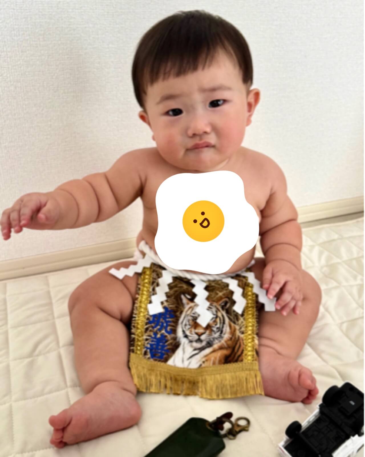 20251119赤ちゃん化粧まわし着画像