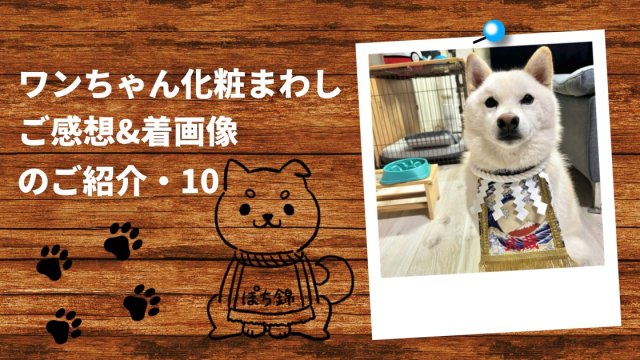 20251127ワンちゃん化粧まわしご感想＆着画像アイキャッチ10