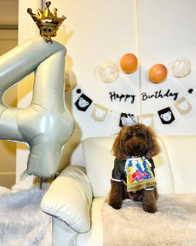 20251221ワンちゃん化粧まわし着画像2