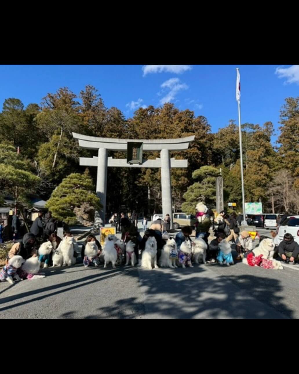 20260322ワンちゃん化粧まわし着画像3