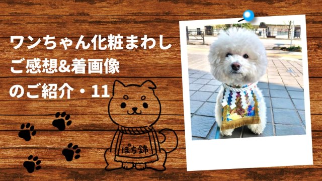 20260513ワンちゃん化粧まわしご感想&着画像アイキャッチ11