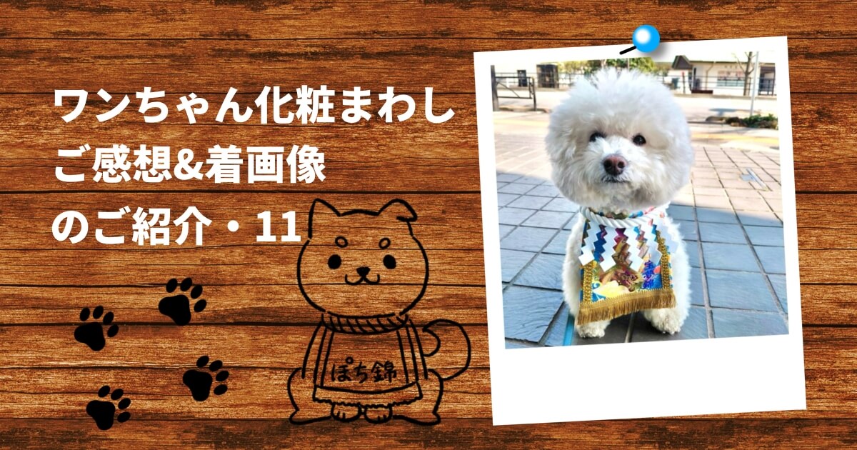 ワンちゃん化粧まわし ご感想＆着画像のご紹介・10｜CHICK CHICK PICNIC
